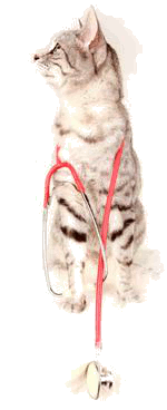 catstethescopecropopttrans